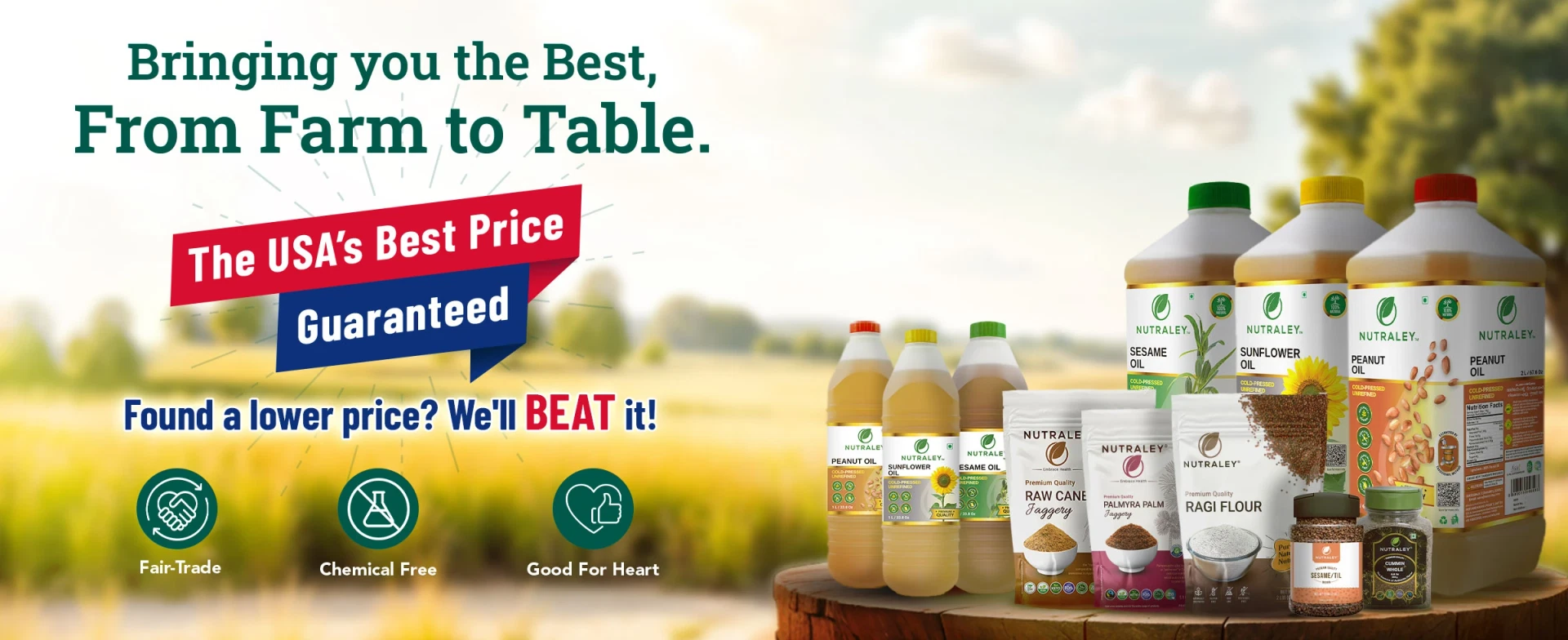 Shop the best products