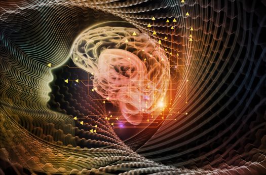 The Link Between Gut Health & Mental Clarity