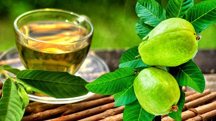 Nutraley Wellness: The Powerful Health Benefits of Guava Leaf Tea