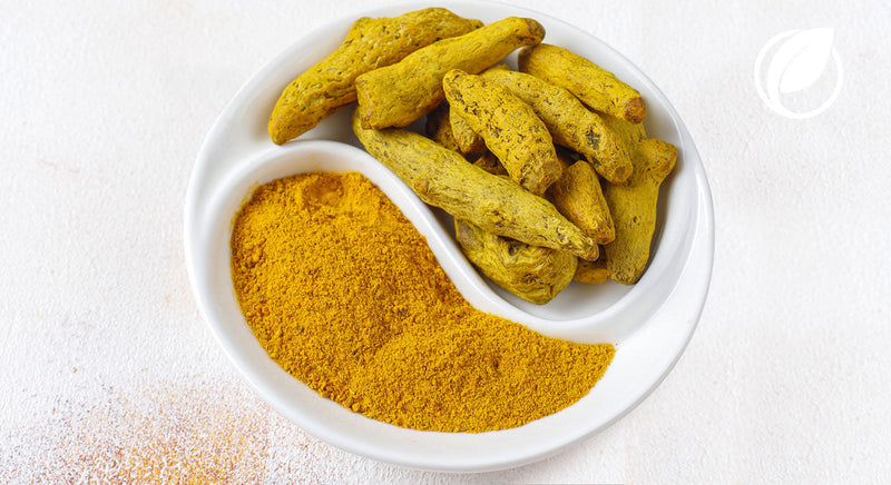 Bringing the Golden Touch to Everyday Cooking –  Nutraley Turmeric Powder